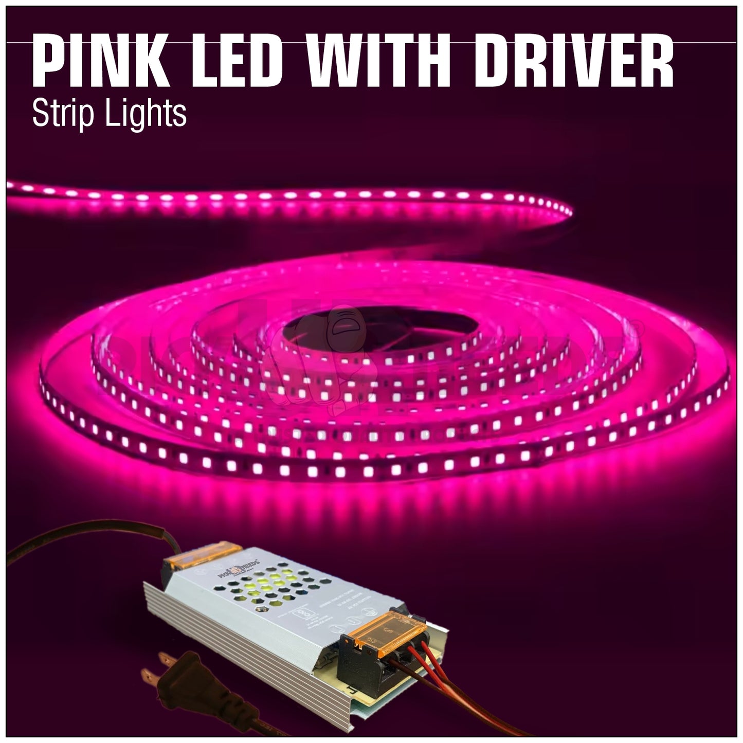 Pick Ur Needs 5M Rope 240 LED Light / Strip Ceiling Green Color Functional / Festival Light Light Strip