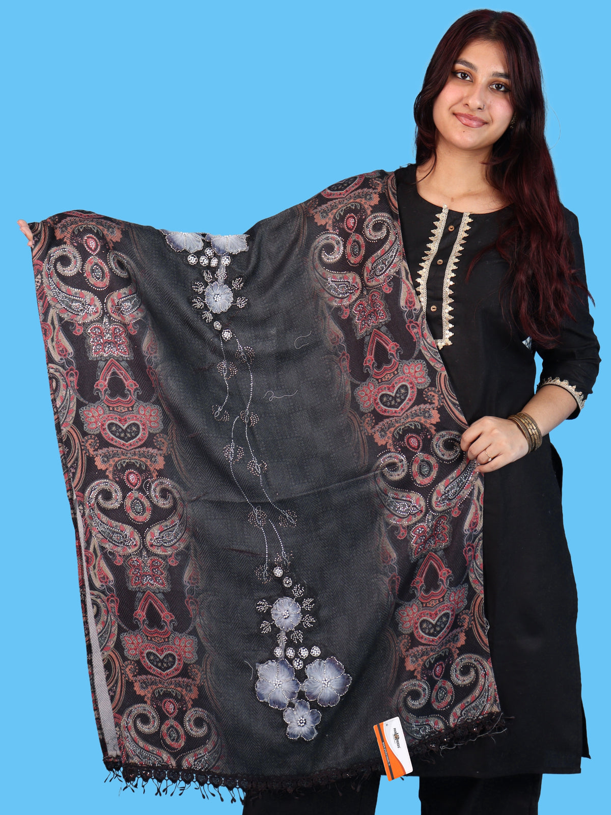 Pick Ur Needs Womens Designer Winter Elegant Floral Embellished Paisley Print Girls Shawl with Decorative Fringe Border