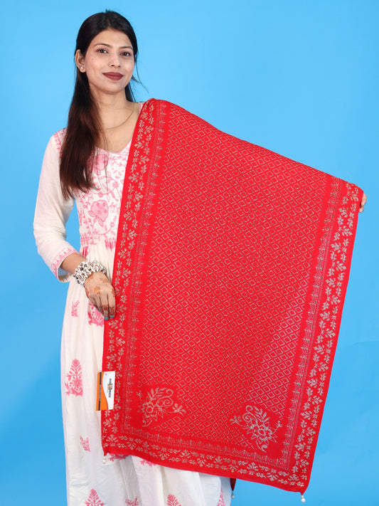 Pick Ur Needs Ladies Printed Winter Shawl with Elegant Pattern Soft Knitted Stole with Designer Border & Tassel Finish Comfortable Shoulder Wrap for