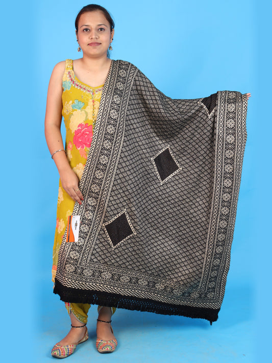 Pick Ur Needs Women & Girls Designer Shawl Stole with Elegant Woven Floral & Geometric Pattern, Soft Warm Winter Wrap with Fringed Border, Stylish Shoulder Scarf for Ladies