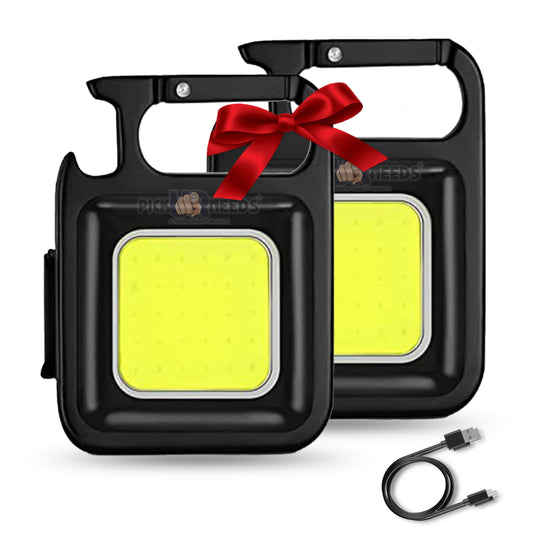 Pick Ur Needs Chargeable Mini Pocket Keychain LED 2 Mode Light Keychain For Bike / Home / Car 3 hrs Torch Emergency Light  (Black) Pack of 2